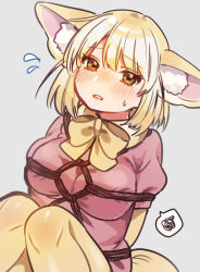 Rule 34 | 1girl, animal ear fluff, animal ears, arms behind back, bad id, bad twitter id, bdsm, blonde hair, blush, bound, bow, bowtie, breasts, commentary request, dutch angle, feet out of frame, fennec (kemono friends), flying sweatdrops, fox ears, frown, grey background, highres, kemono friends, knees together feet apart, knees up, large breasts, looking at viewer, nose blush, parted lips, pink shirt, puffy short sleeves, puffy sleeves, shirt, short hair, short sleeves, simple background, solo, spoken squiggle, squiggle, suicchonsuisui, sweat, yellow bow, yellow bowtie, yellow eyes