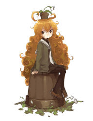 Rule 34 | 1girl, black pantyhose, brown eyes, brown hair, curly hair, expressionless, flower, flower on head, kasa (hitori sanka), long hair, long sleeves, looking at viewer, object on head, original, pantyhose, plant, pleated skirt, potted plant, simple background, sitting, skirt, solo, white background
