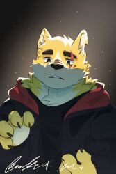 Rule 34 | black jacket, cooper krager, dog, furry, furry male, highres, jacket, light beam, light particles, male focus, ponshanchamu, remember the flowers, scar, scar across eye, scar on face, signature, yellow fur