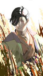 Rule 34 | 1boy, :d, black hair, brown kimono, brown shirt, dappled sunlight, donkey fgo, dress shirt, fate/grand order, fate (series), green jacket, hair over one eye, hair pulled back, haori, highres, jacket, japanese clothes, kimono, looking at viewer, male focus, open mouth, purple eyes, shirt, short hair, smile, solo, sunlight, upper body, wheat, yamanami keisuke (fate)