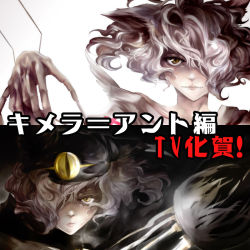 Rule 34 | 1girl, androgynous, animal ears, cat ears, claws, curly hair, dollyly21, hunter x hunter, looking at viewer, neferpitou, other focus, stitches, translated, yellow eyes