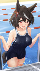 Rule 34 | 1girl, absurdres, ahoge, animal ears, bare shoulders, black hair, blue one-piece swimsuit, blurry, blurry background, bow, breasts, cathy idx, commentary request, depth of field, ear ornament, ear ribbon, hair between eyes, highres, horse ears, horse girl, horse tail, kitasan black (umamusume), large breasts, looking at viewer, multicolored hair, one-piece swimsuit, open mouth, pool, red eyes, solo, streaked hair, swimsuit, tail, thighs, umamusume, wading, wet, white hair