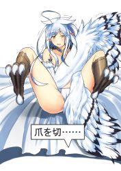 Rule 34 | 10s, 1girl, ahoge, bra, choker, covering privates, feathered wings, full body, harpy, haru (monster musume), highres, long hair, monster girl, monster musume no iru nichijou, monster musume no iru nichijou online, panties, panysua, pointy ears, raptor (monster musume), simple background, solo, talons, text focus, translation request, trembling, underwear, underwear only, white background, white bra, white hair, white panties, white wings, winged arms, wings, yellow eyes
