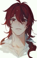 Rule 34 | 1boy, antenna hair, diluc (genshin impact), genshin impact, highres, k young03, long hair, looking at viewer, male focus, parted lips, portrait, red eyes, red hair, shirt, simple background, solo, wet, wet hair, white shirt