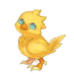 Rule 34 | animal focus, bird, blue eyes, chick, chocobo, closed mouth, final fantasy, from side, full body, looking up, lowres, no humans, oyama yoihaya, simple background, solo, standing, white background, yellow theme