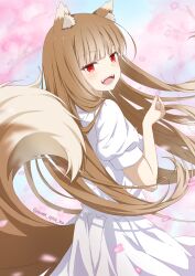 Rule 34 | 1girl, absurdres, animal ears, brown hair, dress, fangs, highres, holding, holding petal, holo, long hair, looking at viewer, petals, red eyes, solo, spice and wolf, sweet spice tea, tail, tree, twitter username, white dress, wolf ears, wolf girl, wolf tail