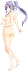 Rule 34 | 1girl, absurdres, ass, back, barefoot, breasts, brown eyes, feet, full body, hair ribbon, highres, iizuki tasuku, large breasts, legs, long hair, long image, looking at viewer, lovely x cation 2, narukawa hime, nipples, nude, ponytail, purple hair, ribbon, simple background, smile, solo, standing, thighs, toes, white background