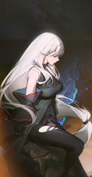 Rule 34 | 1girl, absurdres, arknights, arms at sides, bare shoulders, beach, black gloves, black pants, bra, breasts, closed mouth, clothing cutout, detached sleeves, feet out of frame, gloves, grey hair, highres, infection monitor (arknights), large breasts, long hair, long sleeves, looking away, looking down, low-tied long hair, night, night sky, no headwear, ocean, outdoors, pants, red eyes, rock, sitting, skadi (arknights), skadi (elite ii) (arknights), sky, solo, star (sky), starry sky, thigh cutout, underbust, underwear, very long hair, water, xtears kitsune