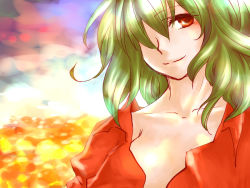 Rule 34 | 1girl, blouse, collarbone, female focus, green hair, hair between eyes, hair over one eye, kazami yuuka, open clothes, open shirt, red eyes, red shirt, shirt, smile, solo, touhou, upper body