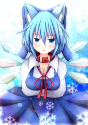 Rule 34 | 1girl, alternate breast size, animal ears, bad id, bad pixiv id, beni shake, blue eyes, blue hair, blush, bow, breasts, cat ears, cirno, collar, fairy, hair bow, kemonomimi mode, large breasts, matching hair/eyes, aged up, short hair, solo, touhou, wings