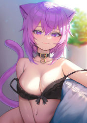 Rule 34 | 1girl, :3, animal ear fluff, animal ears, black bra, black collar, blurry, blurry background, bra, breasts, cat ears, cat girl, cat tail, cleavage, closed mouth, collar, hair between eyes, hololive, large breasts, looking at viewer, medium hair, navel, nekomata okayu, picter, plant, potted plant, purple eyes, purple hair, smile, solo, stomach, strap slip, tail, tail raised, underwear, upper body, virtual youtuber
