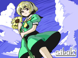 Rule 34 | 00s, 1girl, blonde hair, face, flower, higurashi no naku koro ni, houjou satoko, shiba itsuki, sibaki, solo, sunflower
