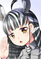 Rule 34 | 10s, 1girl, ahoge, animal ears, black hair, brown eyes, commentary request, extra ears, grey shirt, highres, kemono friends, long hair, looking at viewer, multicolored hair, necktie, open mouth, plains zebra (kemono friends), portrait, salute, shirt, solo, streaked hair, striped necktie, striped neckwear, two-tone hair, white hair, yasume yukito, zebra ears
