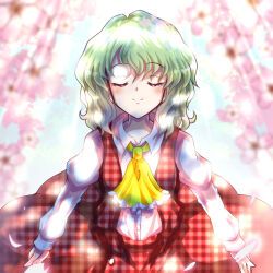 Rule 34 | 1girl, absurdres, alphes (style), ascot, closed eyes, closed mouth, commentary request, facing viewer, green hair, highres, kazakome, kazami yuuka, light rays, long sleeves, outdoors, parody, plaid, plaid skirt, plaid vest, red skirt, red vest, shirt, short hair, skirt, smile, solo, style parody, touhou, vest, white shirt, yellow ascot