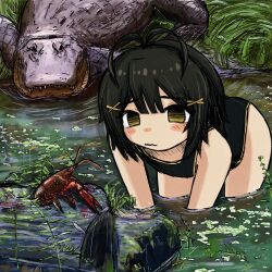 Rule 34 | 1girl, bent over, black eyes, black hair, black one-piece swimsuit, bubbacterial, character request, copyright request, crayfish, crocodile, crocodilian, gradient eyes, hair ornament, highres, looking at animal, multicolored eyes, one-piece swimsuit, short hair, solo, swimsuit, wetland, x hair ornament, yellow eyes, yellow trim