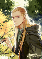 Rule 34 | 10s, 1boy, 2013, artist name, blue eyes, braid, branch, brooch, dated, elf, half updo, jewelry, leaf, tolkien&#039;s legendarium, legolas, long hair, looking at viewer, male focus, manly, marksman, middle earth, pointy ears, psd, smile, solo, the lord of the rings, tree