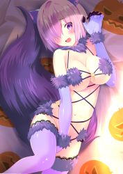 Rule 34 | 1girl, :d, animal ears, bad id, bad pixiv id, bare shoulders, bed sheet, between legs, bikini, blush, breasts, claws, cleavage, commentary request, costume, cross-laced clothes, elbow gloves, eyelashes, fang, fate/grand order, fate (series), from above, fur-trimmed gloves, fur-trimmed legwear, fur collar, fur trim, gloves, groin, groin tendon, hair between eyes, hair over one eye, halloween costume, hand between legs, hand up, highres, hip focus, houmitsu, indoors, jack-o&#039;-lantern print, lace, lace-trimmed legwear, lace trim, large breasts, looking at viewer, lying, mash kyrielight, mash kyrielight (dangerous beast), navel, o-ring, o-ring top, official alternate costume, on back, one eye covered, open mouth, pom pom (clothes), purple bikini, purple eyes, purple gloves, purple hair, purple thighhighs, revealing clothes, shiny clothes, short hair, smile, solo, stomach, strap gap, string bikini, swimsuit, tail, thighhighs, thighs, underboob, wolf ears, wolf tail