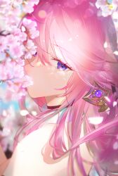 Rule 34 | 1girl, absurdres, bare shoulders, blurry, bokeh, cherry blossoms, cherrymaru, collar, commentary, covered mouth, depth of field, eyelashes, genshin impact, hair between eyes, hair ornament, highres, lens flare, long hair, looking at viewer, looking to the side, pink hair, portrait, purple eyes, solo, white collar, yae miko
