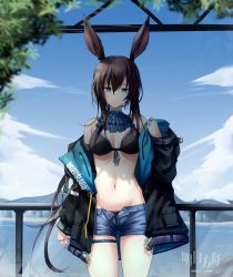 Rule 34 | 1girl, absurdres, amiya (arknights), animal ears, arknights, ascot, bare shoulders, bikini, black bikini, black jacket, blue ascot, blue eyes, blue shorts, blue sky, brown hair, cloud, commentary, copyright name, cowboy shot, day, groin, hair between eyes, highres, jacket, long hair, long sleeves, looking at viewer, nash11, navel, ocean, off shoulder, open clothes, open fly, open jacket, rabbit ears, railing, short shorts, shorts, sky, solo, standing, stomach, swimsuit, thigh strap, thighs, very long hair