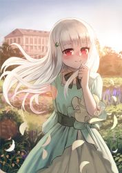 Rule 34 | 1girl, albino, blue sky, blush, building, closed mouth, commentary request, day, dress, female focus, floating hair, flower, gomashiwo o, grass, green dress, hair ornament, hairclip, hand up, long hair, long sleeves, looking at viewer, mansion, otome game no hametsu flag shika nai akuyaku reijou ni tensei shite shimatta, outdoors, petals, purple flower, red eyes, silver hair, sky, smile, solo, sophia ascart, very long hair, wind
