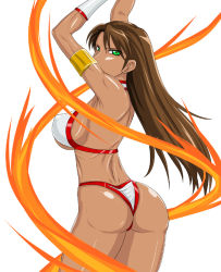 Rule 34 | 1girl, ass, breasts, brown hair, golden axe, green eyes, large breasts, looking at viewer, looking back, ml, sega, solo, tyris flare