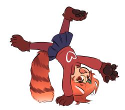 Rule 34 | 1girl, absurdres, animal feet, animal hands, blue skirt, cartwheel, fang, furry, hair ornament, hairclip, highres, kipaki, meilin lee, open mouth, orange hair, pantyhose, pleated skirt, red eyes, red panda ears, red panda girl, red panda tail, red pantyhose, red sweater, round eyewear, simple background, skirt, solo, sweater, turning red, white background