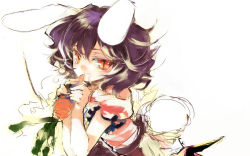 Rule 34 | 1girl, animal ears, carrot, female focus, food, frills, holding, holding food, inaba tewi, looking at viewer, mo, puffy short sleeves, puffy sleeves, purple hair, rabbit ears, rabbit girl, rabbit tail, red eyes, short hair, short sleeves, shunsei (muratou), sketch, slit pupils, smile, solo, tail, touhou, upper body, white background