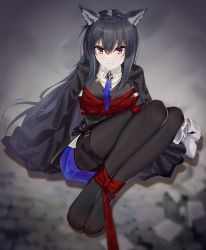 Rule 34 | 1girl, animal ear fluff, animal ears, arknights, arms behind back, belt, black coat, black hair, black pantyhose, black vest, blue necktie, blue shorts, blush, bound, bound arms, bound legs, closed mouth, coat, coat on shoulders, ddt (darktrident), highres, knees up, long hair, looking at viewer, necktie, no shoes, on ground, pantyhose, pantyhose under shorts, shibari, shoes, shorts, sitting, solo, texas (arknights), texas the omertosa (arknights), thighband pantyhose, unworn shoes, v-shaped eyebrows, very long hair, vest, white background, wolf ears, yellow eyes