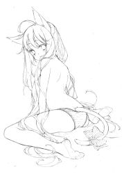 Rule 34 | 1girl, animal ears, bad id, bad pixiv id, barefoot, citri, from behind, greyscale, long hair, looking at viewer, looking back, monochrome, panties, simple background, solo, tail, topless, underwear, very long hair, white background, yuetsuki (ash)