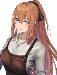Rule 34 | 1girl, 3 small spiders, apron, breasts, brown apron, brown hair, collared shirt, from above, girls&#039; frontline, green eyes, hair between eyes, hair ribbon, hair rings, high ponytail, highres, large breasts, long hair, ponytail, ribbon, shirt, sidelocks, simple background, springfield (girls&#039; frontline), white background, white shirt