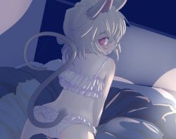 Rule 34 | 1girl, animal ears, blush, bra, frilled bra, frilled panties, frills, grey hair, indoors, ishikkoro, looking at viewer, looking back, mouse ears, mouse tail, nazrin, panties, profile, red eyes, short hair, solo, tail, touhou, underwear, underwear only