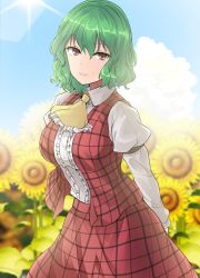 Rule 34 | 1girl, arm strap, arms behind back, ascot, blue sky, breasts, cloud, cowboy shot, day, flower, frilled ascot, frilled shirt, frills, garden of the sun, green hair, hair between eyes, highres, kazami yuuka, large breasts, lens flare, light smile, long sleeves, looking at viewer, one-hour drawing challenge, open clothes, open vest, outdoors, plaid, plaid skirt, plaid vest, puffy long sleeves, puffy sleeves, red eyes, red skirt, red vest, shirt, short hair, skirt, skirt set, sky, solo, sunflower, sunlight, touhou, vest, white shirt, y2, yellow ascot