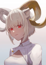 Rule 34 | 1girl, absurdres, animal ears, aoi tooru, arknights, carnelian (arknights), closed mouth, commentary, dark-skinned female, dark skin, goat ears, goat horns, highres, horns, jacket, looking at viewer, red eyes, shirt, short hair, solo, upper body, white hair, white jacket, white shirt