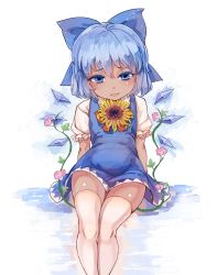 Rule 34 | 1girl, :3, arms at sides, belly, blue dress, blue eyes, blue hair, blush, bow, cirno, colored eyelashes, dark-skinned female, dark skin, dress, flower, frilled sleeves, frills, hair between eyes, hair bow, head tilt, hidden star in four seasons, highres, ice, ice wings, light smile, looking at viewer, mofashi beibei, plant, reflection, shiny skin, shirt, short dress, short hair, sitting, sleeveless, sleeveless dress, solo, sunflower, tanned cirno, thighhighs, touhou, vines, white shirt, white thighhighs, wings, zettai ryouiki