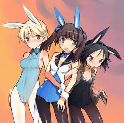 Rule 34 | 3girls, adapted costume, alternate costume, animal ears, black eyes, black hair, black legwear, blonde hair, blue eyes, blush, bow, bowtie, brave witches, breasts, brown hair, cameltoe, cammy white (cosplay), cosplay, covered erect nipples, fake animal ears, fang, georgette lemare, green eyes, kanno naoe, leotard, multiple girls, nikka edvardine katajainen, pantyhose, playboy bunny, rabbit ears, shimada fumikane, short hair, small breasts, street fighter, strike witches, twintails, white legwear, world witches series
