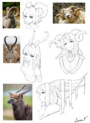 Rule 34 | 4girls, 4others, absurdres, animal, animal request, commentary request, goat, goat horns, hair on horn, highres, horns, leria v, monochrome, multiple girls, multiple others, original, real life, sheep, sheep horns