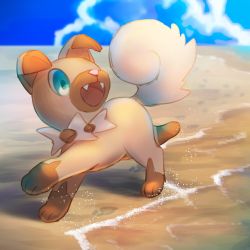 Rule 34 | blue eyes, cloud, commentary request, creatures (company), day, fangs, game freak, gen 7 pokemon, kikuyoshi (tracco), looking to the side, nintendo, no humans, open mouth, outdoors, pokemon, pokemon (creature), rockruff, sand, shore, sky, solo, standing, toes, tongue, water