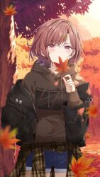 Rule 34 | 1girl, autumn, autumn leaves, black jacket, blue shorts, brown hair, brown hoodie, clothes around waist, covering own mouth, gangshangguang (smjy5842), hair ornament, hairclip, highres, higuchi madoka, holding, holding leaf, hood, hoodie, idolmaster, idolmaster shiny colors, jacket, leaf, long sleeves, maple leaf, pink eyes, shorts, solo, standing