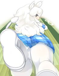Rule 34 | 1girl, animal ear fluff, animal ears, ass, blue skirt, blush, boots, commentary request, foot out of frame, from behind, grey eyes, highres, kemono friends, lets0020, lion ears, lion girl, lion tail, long hair, looking at viewer, lying, medium bangs, on stomach, open mouth, pantyhose, plaid, plaid skirt, pleated skirt, shoe soles, skirt, solo, tail, tatami, the pose, white footwear, white hair, white lion (kemono friends), white pantyhose