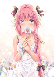 Rule 34 | 1boy, astolfo (fate), bare arms, bare shoulders, black bow, black bra, black ribbon, blush, bow, bra, braid, collarbone, covered mouth, covering own mouth, dress, fate/apocrypha, fate/grand order, fate (series), field, flower, flower field, flower over mouth, hair between eyes, hair bow, hair over shoulder, hair ribbon, highres, holding, holding flower, leaf, long hair, looking at viewer, male focus, md5 mismatch, multicolored hair, nail polish, petals, pink hair, pink nails, purple eyes, resolution mismatch, ribbon, see-through, shirakawako, sidelocks, single braid, solo, source larger, standing, strap slip, streaked hair, sundress, trap, underwear, very long hair, wet, wet clothes, wet dress, white dress, white flower, white ribbon, wind, wrist ribbon