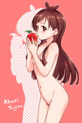 Rule 34 | 1girl, absurdres, antenna hair, apple, arched back, asymmetrical bangs, blush, breasts, brown hair, character name, cleavage, collarbone, completely nude, convenient arm, convenient censoring, female focus, female pubic hair, food, fruit, groin, hair ornament, hair spread out, hairpin, hamao, highres, holding, holding food, holding fruit, idolmaster, idolmaster cinderella girls, legs together, looking at viewer, navel, nude, outline, pink background, polka dot, pubic hair, red eyes, shadow, sideways glance, silhouette, simple background, small breasts, solo, tareme, tsujino akari, white outline