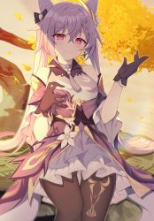 Rule 34 | 1girl, absurdres, autumn, autumn leaves, black gloves, black pantyhose, branch, commentary request, detached sleeves, double bun, genshin impact, gloves, hair between eyes, hair bun, hair ornament, highres, keqing (genshin impact), long hair, looking at viewer, paaru, pantyhose, purple eyes, purple hair, rock, sidelocks, sitting, sitting on object, smile, solo, twilight, twintails, wide sleeves