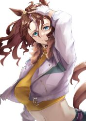 Rule 34 | 1girl, absurdres, animal ears, arm up, blue eyes, breasts, brown hair, commentary request, cowboy shot, crop top, cropped jacket, gradient background, grin, hair between eyes, highres, horse ears, horse girl, jacket, looking at viewer, luna (gkluna mas), medium breasts, mejiro palmer (umamusume), midriff, open clothes, open jacket, ponytail, shirt, short hair, simple background, smile, solo, standing, stomach, tail, umamusume, upper body, white background, white jacket, yellow shirt