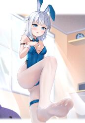 Rule 34 | 1girl, absurdres, animal ears, blue eyes, blush, fake animal ears, feet, gawr gura, highres, hololive, leotard, long hair, looking at viewer, multicolored hair, pantyhose, parted lips, rabbit ears, short twintails, silver hair, soles, streaked hair, toes, twintails, virtual youtuber, white pantyhose