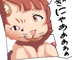 Rule 34 | :3, animal ear fluff, animal ears, brown eyes, brown hair, cat ears, check commentary, commentary request, drawing, ggxfan, idolmaster, idolmaster million live!, idolmaster million live! theater days, no humans, nonohara akane, open mouth, paper, short hair, slit pupils, smile, speech bubble, translation request, whiskers, white background