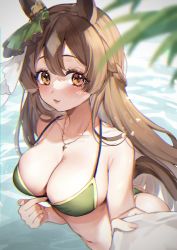 Rule 34 | 1girl, absurdres, alternate costume, animal ears, blush, breasts, brown hair, chan hone pkpk, cleavage, collarbone, commentary request, half updo, highres, horse ears, horse girl, horse tail, jewelry, large breasts, looking at viewer, necklace, ocean, open mouth, pov, satono diamond (umamusume), solo, swimsuit, tail, umamusume, yellow eyes