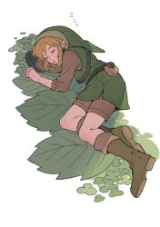 Rule 34 | 1boy, 64ibon, absurdres, blonde hair, boots, brown footwear, brown shirt, brown shorts, closed eyes, full body, green headwear, green tunic, highres, leaf, link, lying, male focus, nintendo, on side, outdoors, parted lips, pointy ears, shirt, short hair, shorts, sidelocks, sleeping, solo, the legend of zelda, zzz
