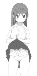 Rule 34 | 1girl, bad id, bad pixiv id, blush, bow, bow panties, clothes lift, dress shirt, greyscale, highres, long hair, monochrome, original, panties, pleated skirt, retsumaru, shirt, skirt, skirt lift, solo, standing, underwear, upskirt, white background, white shirt
