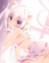 Rule 34 | 1girl, animal ears, backlighting, bare shoulders, bent over, bikini, blurry, blurry background, blush, bow, cat ears, cat girl, cat tail, closed mouth, commentary request, coron (canvas+garden), depth of field, from side, hair between eyes, hair bow, kemonomimi mode, long hair, looking at viewer, looking to the side, miyasaka naco, original, pink bow, purple skirt, red eyes, skirt, smile, solo, sunlight, swimsuit, tail, tail raised, very long hair, white bikini, white hair, yellow bow