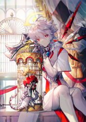 Rule 34 | 1boy, ahoge, apple, bird, cage, crescent halo, curtains, detached wings, diamond-shaped pupils, diamond (shape), elsword, elsword (character), expressionless, food, fruit, gauntlets, genesis (elsword), halo, highres, long sleeves, looking at viewer, male focus, pants, red eyes, scorpion, scorpion5050, shirt, short hair, sitting, solo, symbol-shaped pupils, white hair, white pants, white shirt, window, wings